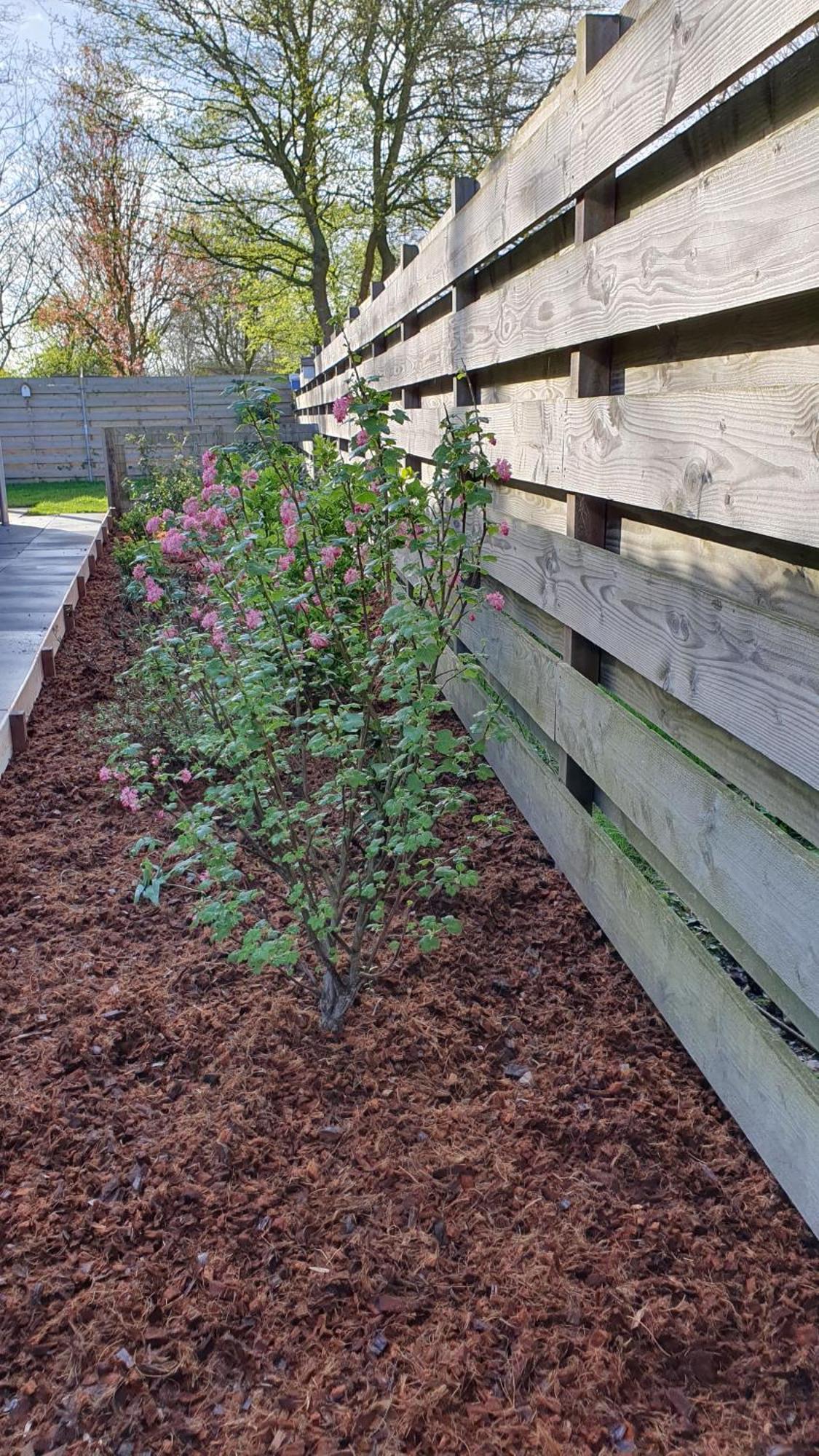 Luxe Vakantiebungalow Met Omheinde Tuin Voor Hond En Kinderen Dirkshorn Exterior photo